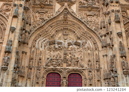 Details of the exterior of Cathedral in the city of Salamanca Details of the exterior of Cathedral in the city of Salamanca 123241284