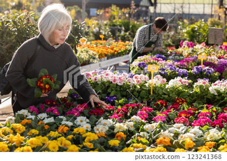 Elderly woman choosing primrose in the store 123241368