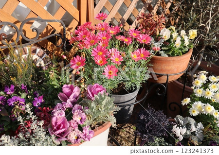 Spring flower group planting & group pot Spring flower group planting & group pot 123241373