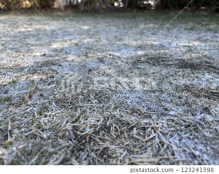 frosty ground 123241398