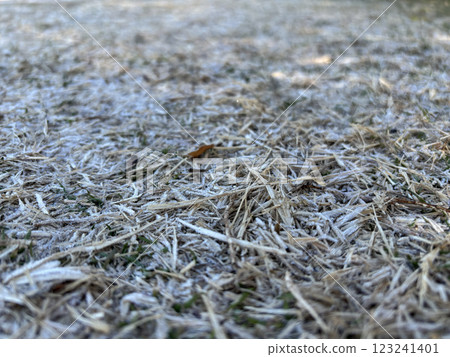 frosty ground 123241401