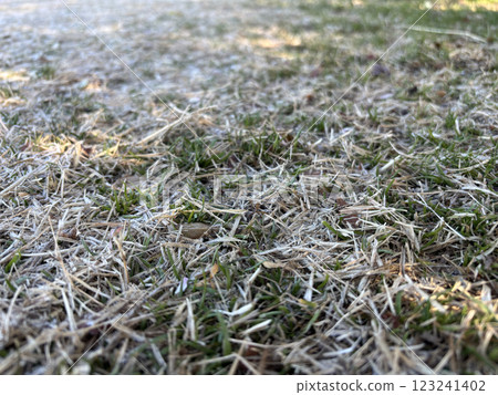 frosty ground 123241402