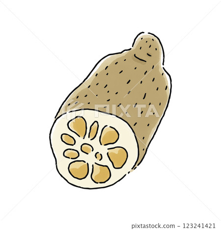 蓮藕水彩風格 123241421