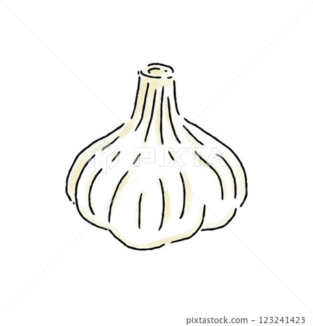 大蒜水彩風格 123241423