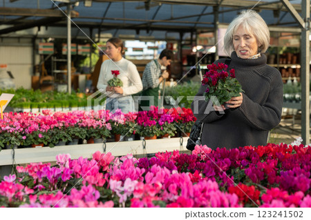 Elderly woman choosing flower pots Elderly woman choosing flower pots 123241502