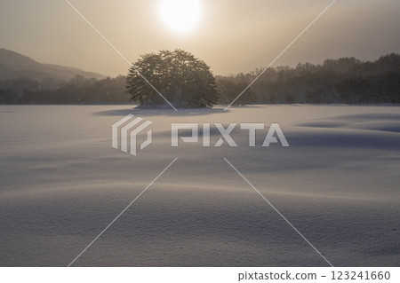 冬季的小野川湖的雪地和花紋 123241660