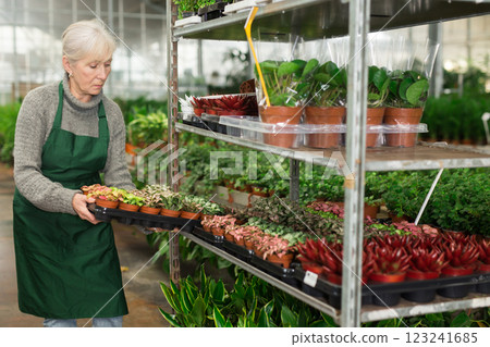 Senior woman carrying box with plants in floral shop Senior woman carrying box with plants in floral shop 123241685