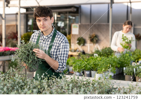 Store employee will check eucalyptus leaves Store employee will check eucalyptus leaves 123241759