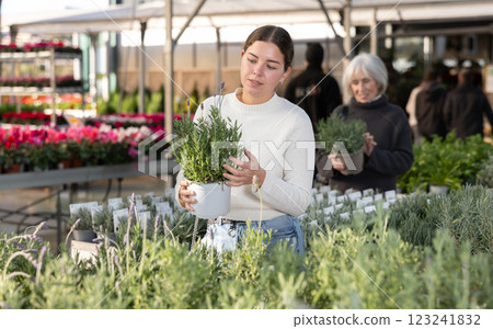 Girl buy potted French lavender plant in shop 123241832
