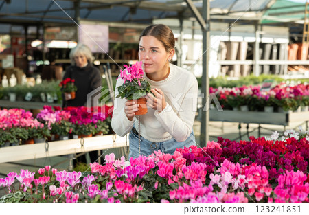 Young woman buy potted cyclamen plant in shop Young woman buy potted cyclamen plant in shop 123241851