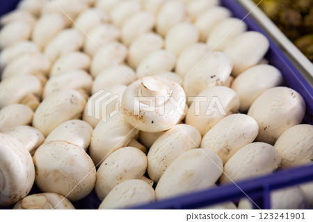 Closeup of whole fresh raw champignon mushrooms in box Closeup of whole fresh raw champignon mushrooms in box 123241901