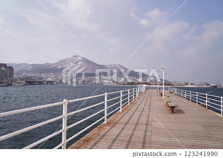 Hakodate Port and Mount Hakodate, Hokkaido 123241990