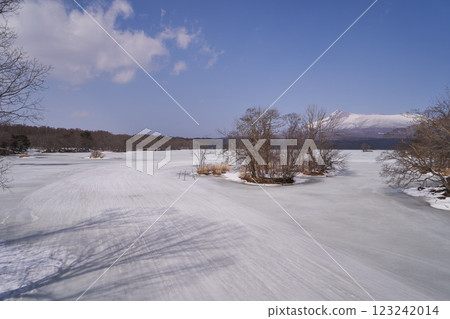 北海道：冰凍的大沼湖和北海道駒岳 123242014