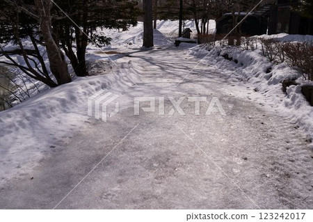 北海道大沼公園的結冰步道 123242017