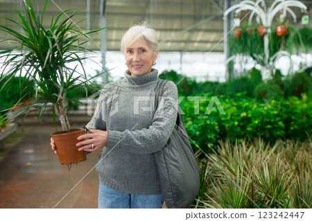 Elderly woman purchasing potted dracaena in garden store 123242447
