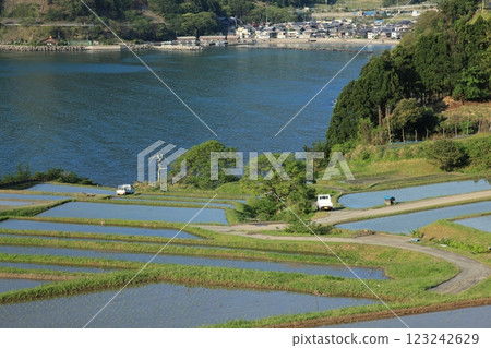 Early summer, rice terraces and fishing port 123242629