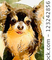Recommended Chihuahua 123242856