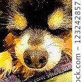 Sleepy Chihuahua 123242857