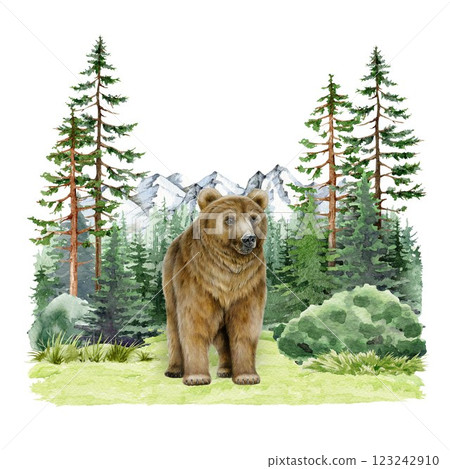 Brown bear in coniferous forest landscape watercolor vintage style illustration. Hand drawn grizzly in wild nature scene. Brown bear forest animal in woodland landscape with mountain range background Brown bear in coniferous forest landscape watercolor vintage style illustration. Hand drawn grizzly in wild nature scene. Brown bear forest animal in woodland landscape with mountain range background 123242910