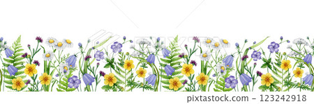 Meadow wildflowers seamless border decor watercolor painted illustration. Hand drawn chamomile, bluebell, cranesbill blooming summer flowers elegant decoration element isolated on white background 123242918