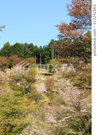 著名的櫻花勝地－吉野山 123242961