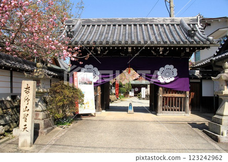 櫻本坊和櫻花 123242962