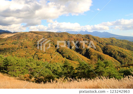 從克勞利高地景觀 123242963