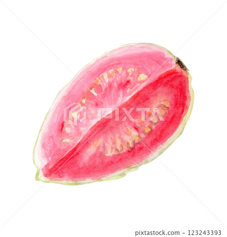 Ripe open pink guava quoter watercolor textured illustration isolated on white. The hand-painted tropical fruit clip art is perfect for culinary designs, labels, prints, cards, packages, menu, home Ripe open pink guava quoter watercolor textured illustration isolated on white. The hand-painted tropical fruit clip art is perfect for culinary designs, labels, prints, cards, packages, menu, home 123243393
