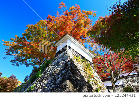 美濃國、郡上八幡城、「天守閣著火了」、藍天和秋葉 美濃國、郡上八幡城、「天守閣著火了」、藍天和秋葉 123244431