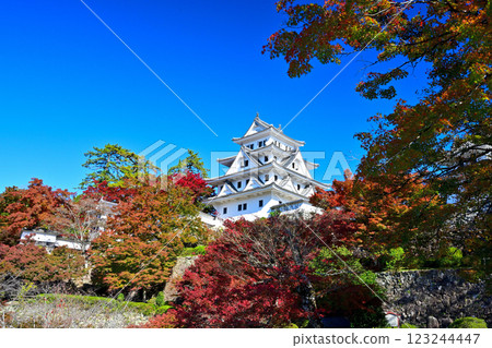 Mino Province, Gujo Hachiman Castle, "The castle tower is on fire", blue sky and autumn leaves 123244447