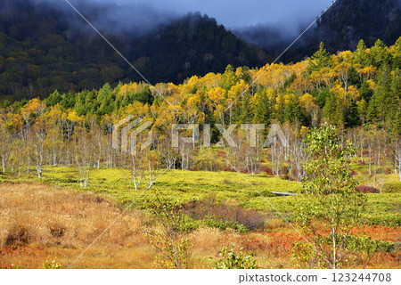 Shiga Takahara Tanohara Mire Shiga Takahara Tanohara Mire 123244708