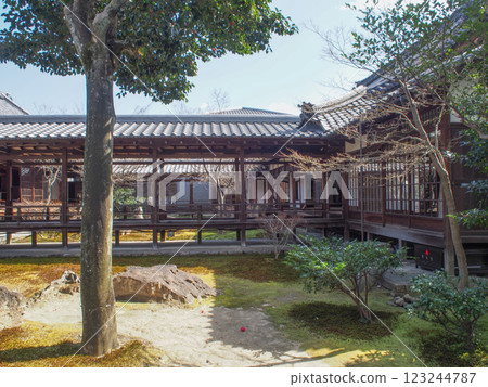 靜謐日式庭院風光 123244787