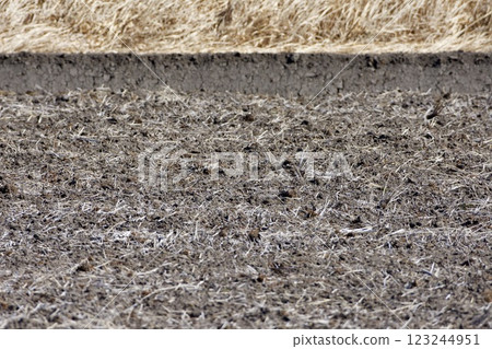 Rice field soil making 123244951