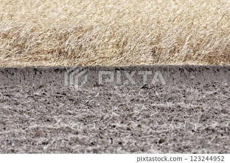 Rice field soil making Rice field soil making 123244952