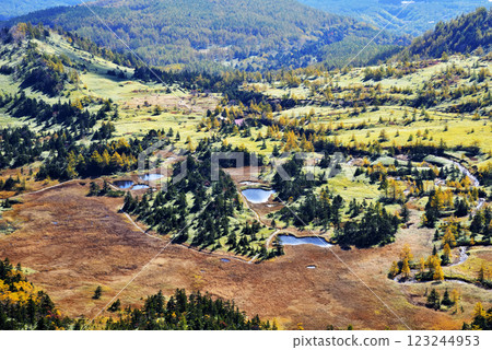 Yoshigadaira Recreational Forest 123244953