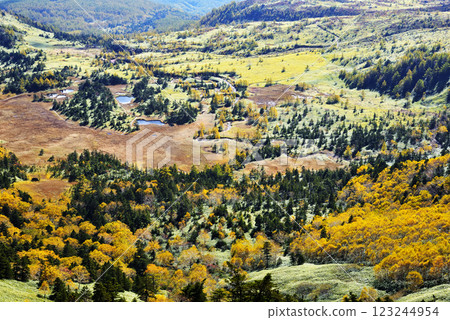 吉平休養林 吉平休養林 123244954