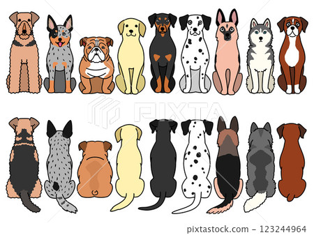 Front and back set of a sitting large dog 123244964