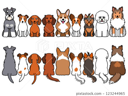 小狗坐姿前後組 小狗坐姿前後組 123244965