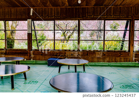 京都府原谷園的櫻花 123245437