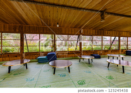 京都府原谷園的櫻花 123245438