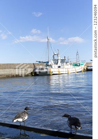 黑雁 黑雁 123246094