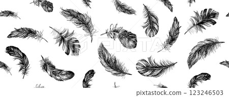 Feather Pattern, Black on White 123246503