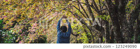 solo traveler in nature concept with asian man camping and sightseeing with pink cherry blossom tree in springtime season 123249090
