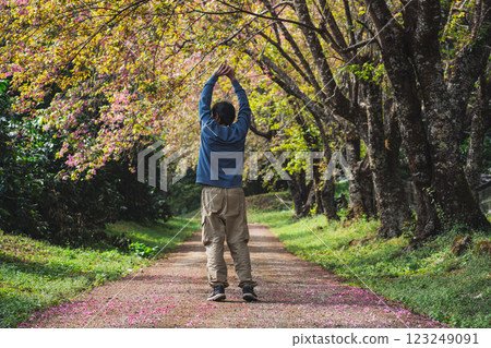 solo traveler in nature concept with asian man camping and sightseeing with pink cherry blossom tree in springtime season 123249091