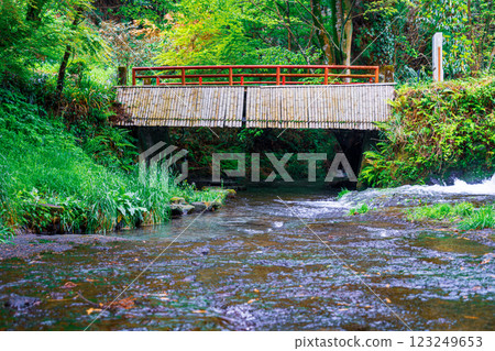 [#熊本]白川源頭 123249653