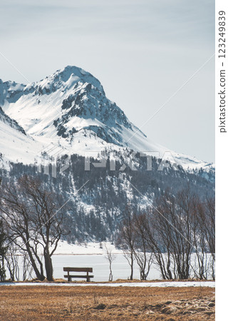 View alpine with vertical panorama 123249839