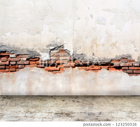 Empty interior scene with old brick wall with cracked stucco and concrete floor. Open space with cement wall and floor. Rugged weathered urban wall backdrop. Grunge interior background. 3d render Empty interior scene with old brick wall with cracked stucco and concrete floor. Open space with cement wall and floor. Rugged weathered urban wall backdrop. Grunge interior background. 3d render 123250316