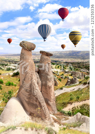 Fairy Chimney or Multihead stone mushrooms, Cappadocia, Turkey 123250336