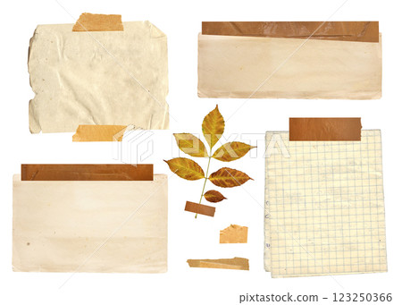 Collection of vintage elements for scrapbooking. Nostalgic set of retro paper, fixed adhesive tape stripes, dry pressed leaf, paper tag. Mockup template. Isolated on white background Collection of vintage elements for scrapbooking. Nostalgic set of retro paper, fixed adhesive tape stripes, dry pressed leaf, paper tag. Mockup template. Isolated on white background 123250366