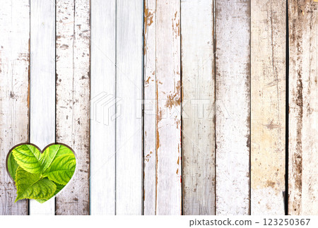Heart-shaped hole in wooden board and green leaves. Heart shape hole in wood fence. Go green. Ecology, global ecological resource, eco, reuse, renewable resource, eco-friendly and zero waste concept Heart-shaped hole in wooden board and green leaves. Heart shape hole in wood fence. Go green. Ecology, global ecological resource, eco, reuse, renewable resource, eco-friendly and zero waste concept 123250367